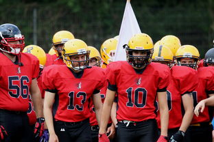 米兰体育官网下载-中超球员年度射门类型结构分类,足球门将射门