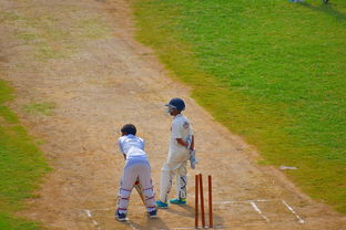 米兰体育官网下载-中超球员年度射门类型结构分类,足球门将射门