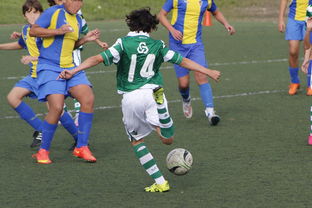 米兰体育官网下载-中超球员年度射门类型结构分类,足球门将射门