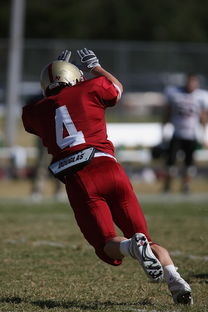 米兰体育app下载-国足队内竞争机制执行评估,中国足协足球竞赛规则